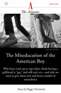 The Miseducation Of The American Boy